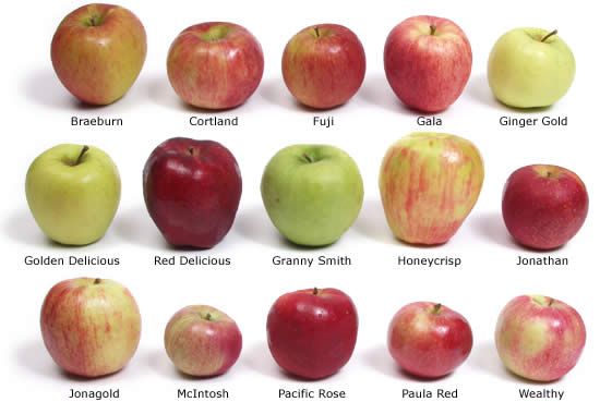 Почему День яблока важен