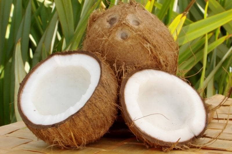 Сколько стоит кокосовый орех