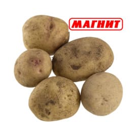 Сколько стоит картофель на магните