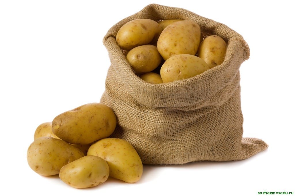 Сколько стоит мешок картофеля