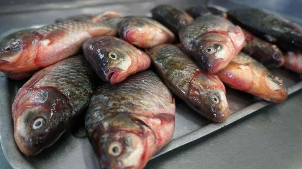Цена килограмма рыбы