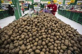 Цены на магнитный картофель