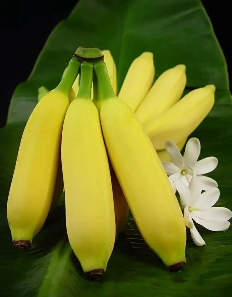 Цена банана
