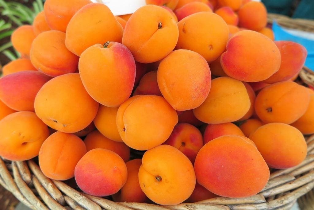 Цена абрикоса за кг