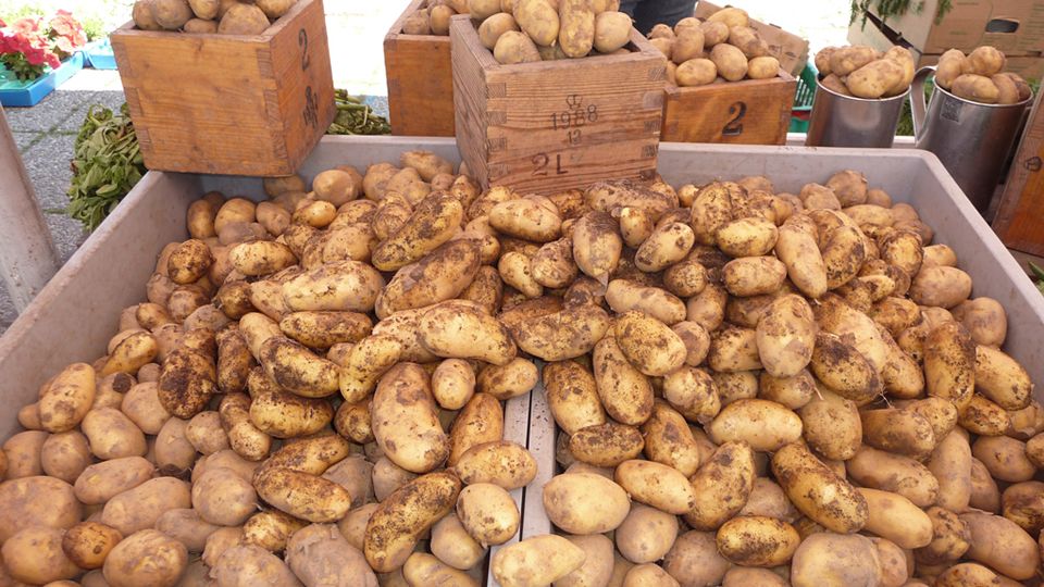 Сколько стоит картофель на рынке
